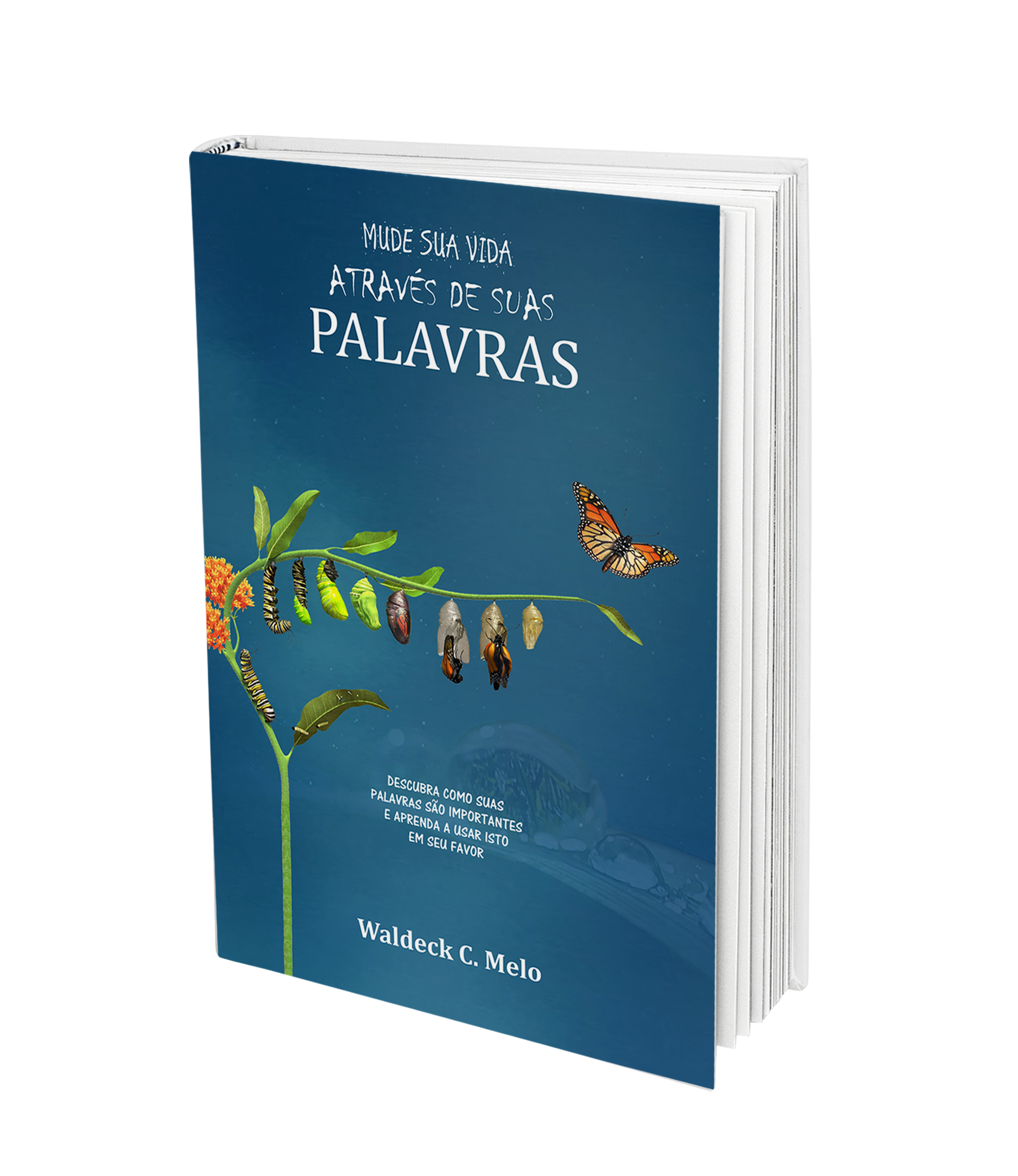 Livro Mude sua vida através das suas palavras